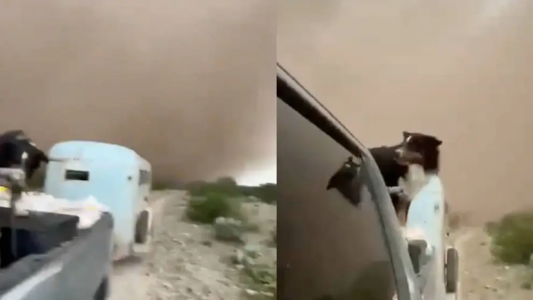 Familia y su perrito escapan de tornado en Coahuila