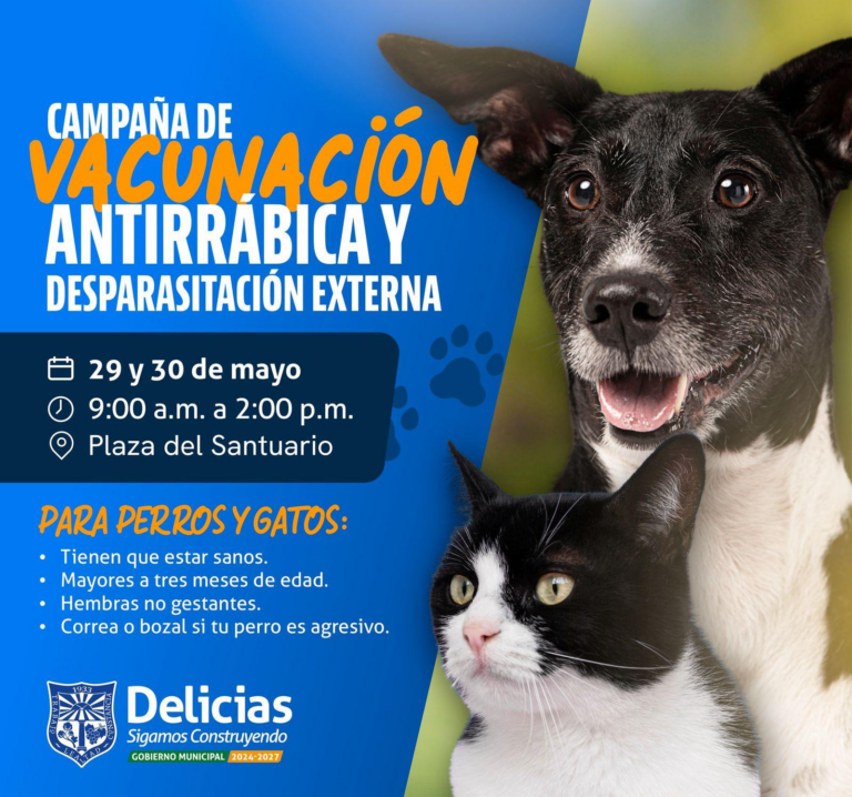ACUNARÁN GRATUITAMENTE A PERROS Y GATOS EN LA PLAZA DEL SANTUARIO