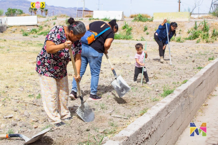 Miguel Gómez, director de Soluciones Ciudadanas informó que, en este proyecto comunitario, se realizó limpieza y reforestación con árboles y nopales