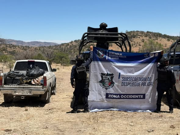 Aseguran 89 kilos de marihuana y pick-up robada en Cusihuiriachi.