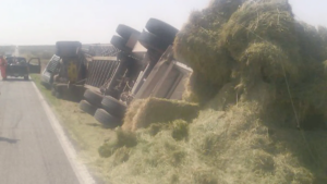 En Meoqui volcó un tráiler cargado con pacas de alfalfa