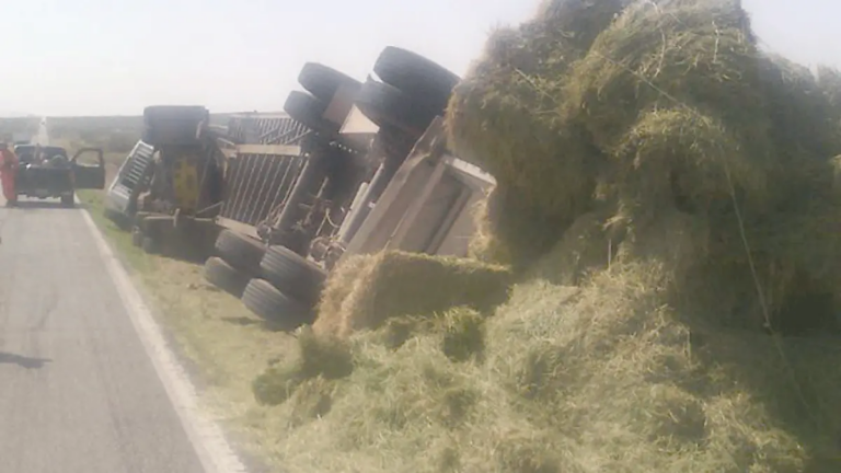 En Meoqui volcó un tráiler cargado con pacas de alfalfa