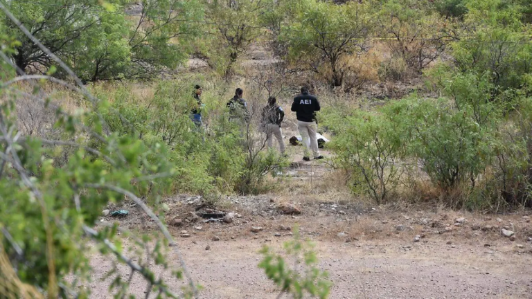 Localizan a pareja sin vida en terreno baldío de ejido Sacramento