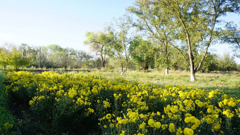 Frente para el Rescate del Campo logra acuerdos con Conagua y Sader; instalarán cinco mesas de trabajo