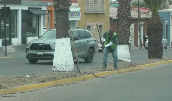 1.2 MDP PARA JARDINERAS EN LA INDEPENDENCIA