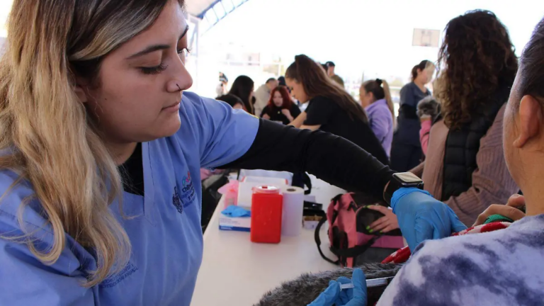 Alarma por rickettsiosis en Chihuahua: 32 personas han muerto y los casos ya superan por mucho los del año pasado