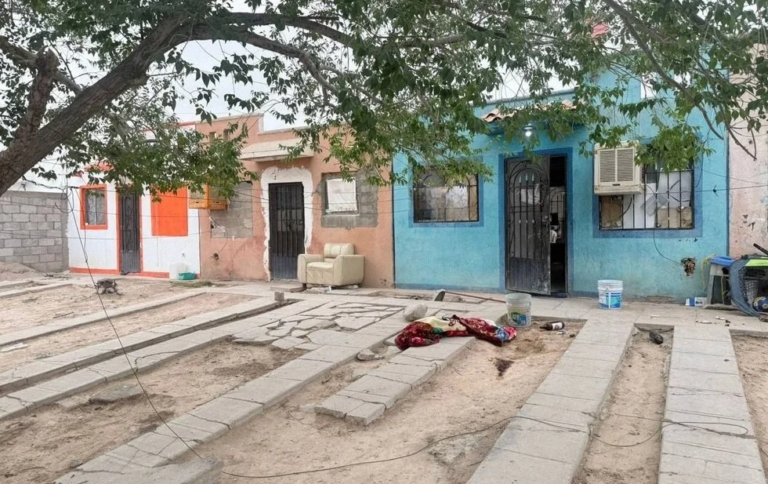 Llevan ante la justicia a asesino de perro; deberá tomar terapia