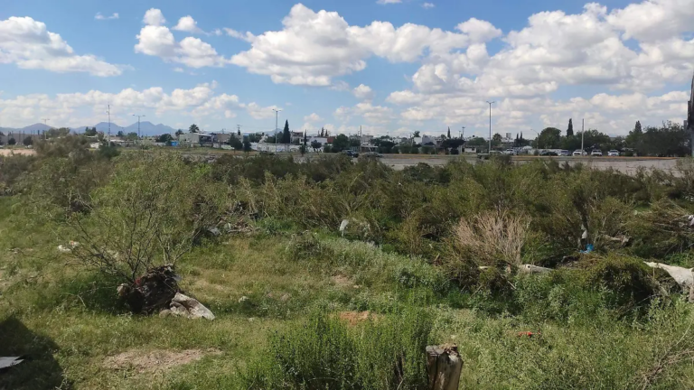 Convocan a rescatar el río Sacramento con jornada de limpieza por el Día Mundial del Medio Ambiente